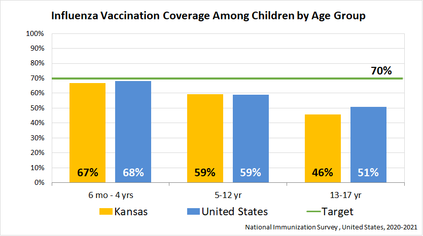 Influenza Coverage by Age (Children)